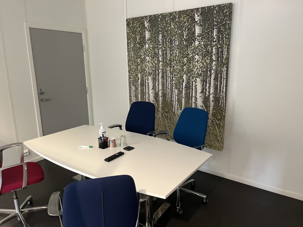 Satsbygget, Møterom