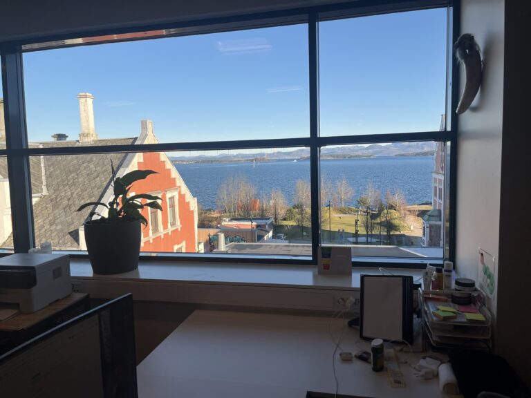 Satsbygget, 4. etasje, seksjon 1, utsikt mot Gandsfjorden